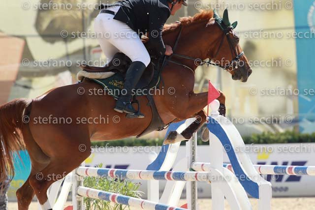 MURRUZZU_MANIERO_GIO CAV 2011_(0359) SS3_2191.jpg